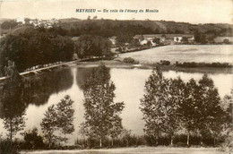 Meyrieu * Un Coin De L'étang Du Moulin - Sonstige & Ohne Zuordnung