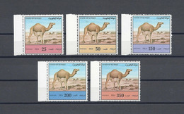 Kuwait 1992 MiNr. 1300 - 1304 Mammals Dromedary Camel 5v    MNH** 12,00 € - Altri