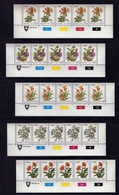 VENDA, 1979-1994, Collection Of Approx. 1100 Mint Never Hinged Stamps In Control Blocks, In A Stock Book - Venda