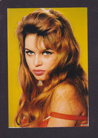 Photo Bardot Brigitte Pin Up Grand Format Environ 10 X 15 Voir Le Dos - Entertainers