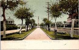 (3 M 31) VERY OLD - Posted 1904 To France - USA - Galveston - Galveston