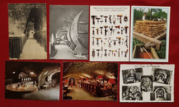 13 Cartes -  Vignoble , Vin , Champagne , Alcool - - Other & Unclassified