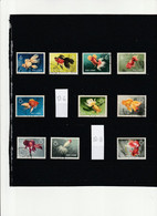 EX-PR-22-11 CHINA P.R.  1960, 1. June. Cultivated Breeds Of The Goldfish. S38 USED SET (-2 STAMPS). - Gebraucht