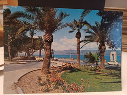 Cartolina Reggio Calabria Il Lungomare  1978, Palme - Reggio Calabria