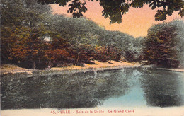 CPA - FRANCE - 59 - LILLE - Bois De La Deûle - Le Grand Carré - Colorisée - 45 - La Cigogne - Lille