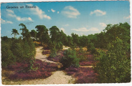 Groeten Uit Ermelo - (Gelderland, Nederland/Holland) - 1964 - Natuur, Heide - Ermelo