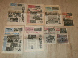 8x Bahnsport Journal 1979-1982 , Speedway , Zeitschrift , Journal !!! - Motos