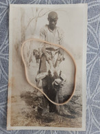 BENIN DAHOMEY PHOTO  SAFARI  LA CHASSE ANTILOPE OKAPI TROPHE PHOTO DEBUT 1900 - Benin