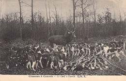 CPA - CHASSE - CHASSE à COURRE - Le Cerf à L'arrêt - TMK - Meute De Chiens - Gibier - Jagd