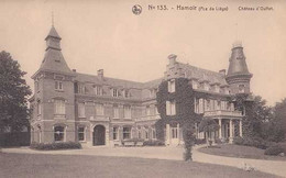 Hamoir - Château D'Ouffet - Pas Circulé - Nels - TBE - Hamoir