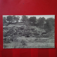 CARTE PHOTO ARGONEN TRANCHEE FORTIFICATION - War 1914-18