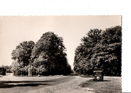 LE LOT DE 2 CPSM.  CHATEAUNEUF-en-THIMERAIS.  Le Calvaire Et L'entrée De La Forêt. Auto.. NEUF.   Voir 3 SCANS - Châteauneuf