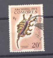 Comores  :  Yv  23  (o)     ,   N2 - Oblitérés