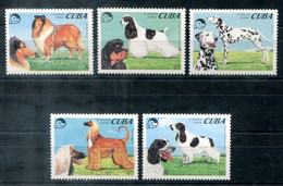 KUBA 3771-3776 Mnh, Hunde, Dogs, Chiens - CUBA - Oblitérés
