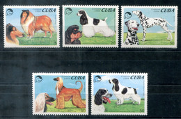 KUBA 3771-3776 Mnh, Hunde, Dogs, Chiens - CUBA - Usati