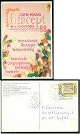 Nederland 1988 Postkaart FILACEPT Den Haag - Bourses & Salons De Collections