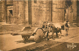 URRUGNE Attelage Passant Devant L'église - Urrugne