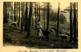 Chenelette * Le Troupeau Dans Le Montagne * Mouton Berger - Andere & Zonder Classificatie