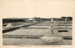 GUERANDE DANS LES MARAIS SALANTS RECOLTE DU SEL - Guérande