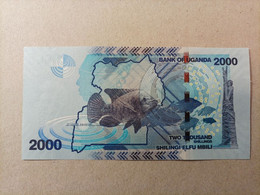 Billete De Uganda De 2000 Schilings, Año 2010, UNC - Uganda