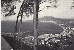 CARTOLINA  CASTELLAMMARE DI STABIA,CAMPANIA,PANORAMA DA MONTE FAITO,STORIA,(RIPRODUZIONE),BELLA ITALIA,NON VIAGGIATA - Castellammare Di Stabia