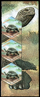 INDIA(2008) Aldabra Giant Tortoise. Strip Of 3 With Perforations Missing From Side Of 2 Stamps. - Errors, Freaks & Oddities (EFO)