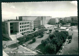 CLG175 - ROMA - CITTA' UNIVERSITARIA - ANIMATA 1959 - Enseñanza, Escuelas Y Universidades