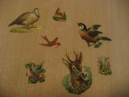 Animal Animals Birds Deer ... 7 Old Chromos Die-cuts Decoupis Chromo Decoupi Die-cut Year: ??? - Tiere