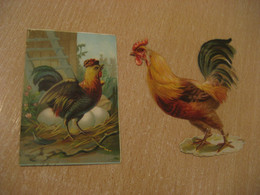 Galletas Y Bizcochos Viñas + Other POULTRY Old Chromos Die-cuts Decoupis Chromo Decoupi Die-cut Year: ??? - Dieren