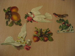 Bird Birds 5 Old Chromos Die-cuts Decoupis Chromo Decoupi Die-cut Year: ??? - Tiere