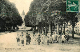 Mirebeau Sur Bèze * Les Maronniers * Place Village Enfants Villageois - Mirebeau