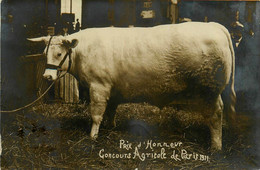 Paris * Carte Photo * Agriculture * Taureau Prix D'honneur Au Concours Agricole De 1911 * Salon De L'agriculture - Sonstige & Ohne Zuordnung