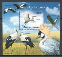 Comores 2011 Mi Block 627 MNH BIRDS - STORCH - HERON - Flamencos