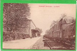 84 CADENET - La Gare - Train à Quai - Cadenet