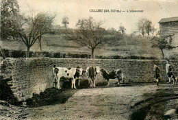 Cellieu * Vue Sur L'abreuvoir * Villageois - Sonstige & Ohne Zuordnung