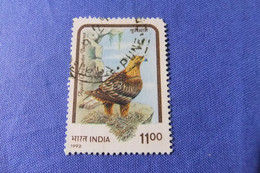 India 1992 Michel 1378 Greifvögel - Used Stamps