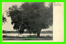 ORLANDO, FL - LIVE OAK ON LAKE EOLA - ANIMATED WITH WOMAN - WRITTEN IN 1914 -  INTERNATIONAL POST CARD & MFG CO - - Orlando
