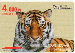 Tigre Tigra Félin Animal  Carte Prépayée Japon Phonecard  J84 - Giungla