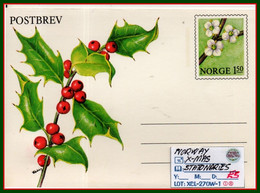 EUROPE:NORWAY#: ORIGINAL COVER#WITH CHRISTMAS-SEALS-STAMPS#STATIONARIES# (XCL-270W-1 (18) - Enteros Postales