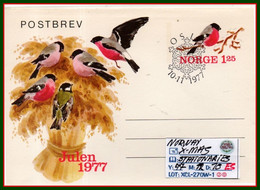 EUROPE:NORWAY#: ORIGINAL COVER#WITH CHRISTMAS-SEALS-STAMPS#STATIONARIES# (XCL-270W-1 (20) - Enteros Postales