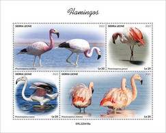 2022-08 - SIERRA LEONE - FLAMINGOS              4V    MNH** - Flamingos