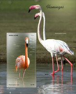 2022-08 - SIERRA LEONE - FLAMINGOS I             1V    MNH** - Flamingo's