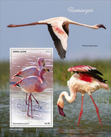 2022-08 - SIERRA LEONE - FLAMINGOS II             1V    MNH** - Flamingos
