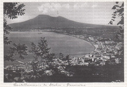 CARTOLINA  CASTELLAMMARE DI STABIA,CAMPANIA,PANORAMA,STORIA,MEMORIA,CULTURA,BELLA ITALIA,(RIPRODUZIONE),NON VIAGGIATA - Castellammare Di Stabia