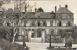 VD190   --  CHATEAU DE COPPET - Coppet