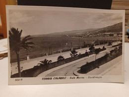 Cartolina  Reggio Calabria Viale Marina, Giardinaggio 1931 - Reggio Calabria