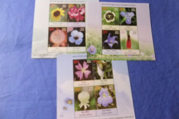 India 2013 Michel Blöcke 115 - 117 Wildblumen MNH - Hojas Bloque