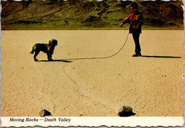 California Death Valley National Monument The Moving Rocks At Racetrack - Death Valley