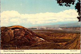 Hawaii Big Island Hawaii Volcanos National Park The Kiluea-Iki Cinder Cone - Big Island Of Hawaii