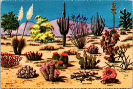 Cactus Cacti And Desert Flora Of The Great Southwest - Cactus
